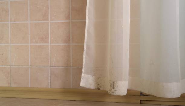 Mold Removal for HVAC Installations in Waukee, IA