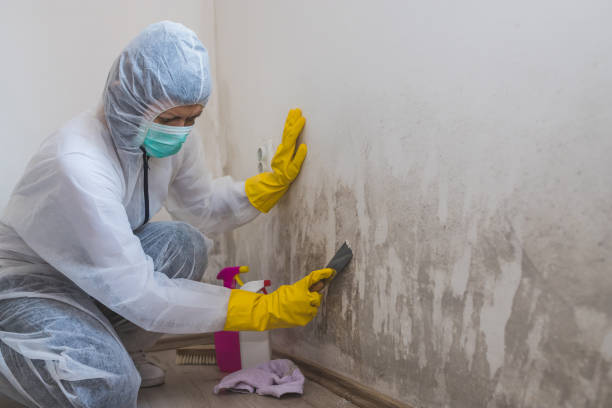Best Industrial Mold Remediation  in Waukee, IA