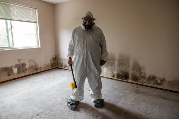 Best Mold Damage Restoration  in Waukee, IA